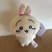 うさぎの画像
