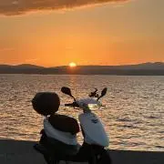 はくいんの画像