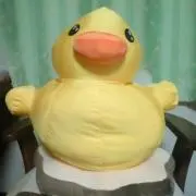 ひめの画像