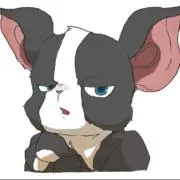 ピッピの画像