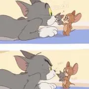 コアラ