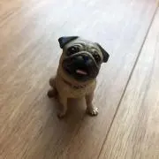 みよちゃんの画像