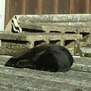プロフ確認をお願い致します！