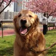 あや