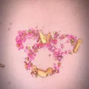 まいの画像