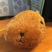 あすもはしの画像