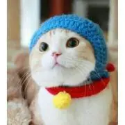 もっくん