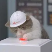 ぬおぬお