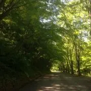 ちゃったんの画像