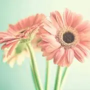 ユッキー♪