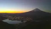 フジの画像