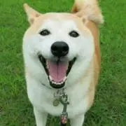 みぃな☆プロフ必ず確認して下さい！