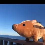 @会社員の画像