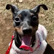 まーくんの画像