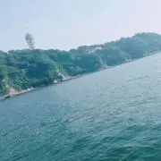 もりーにょ