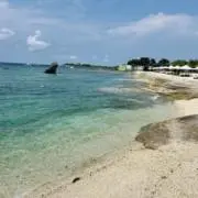 なーなの画像