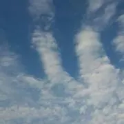 うっぴ