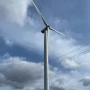 ケツァーナの画像