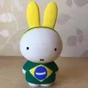 カピバラの画像