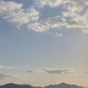 とまとの画像