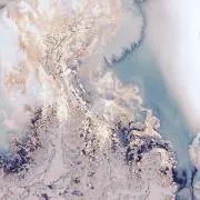 tの画像
