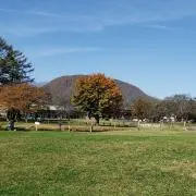 たっくーの画像