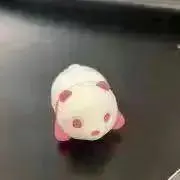 yuriの画像