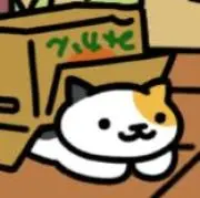 キャリコの画像