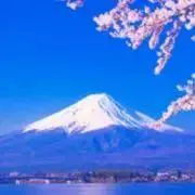 ろんろん