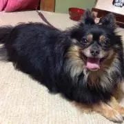 ひっきー☆