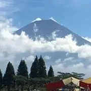 papipooの画像