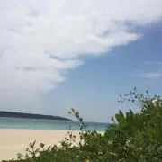 のはらうた