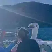 ほっけの画像