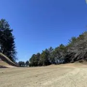 シュガーの画像