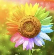 向日葵【お値下げ不可】の画像