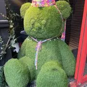 @断捨離の画像