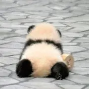 たまご