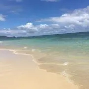 ycの画像