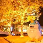 モリオの画像