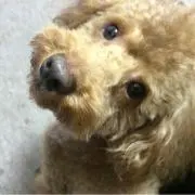 る〜ママ☆