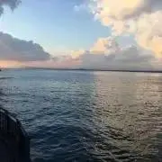 Youの画像