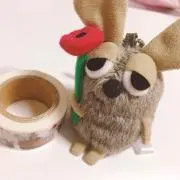 にゃんの画像