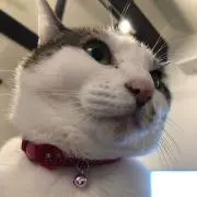 mipoの画像