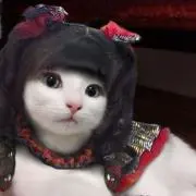 RINの画像
