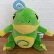 まー坊の画像