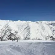 Tk