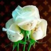 BLUE ROSE