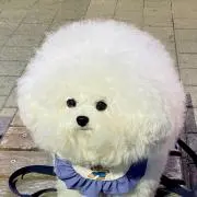 たろ