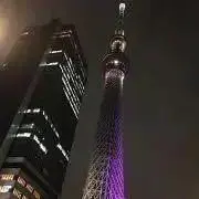 くぅの画像