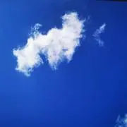 mint☆プロフご確認くださいの画像